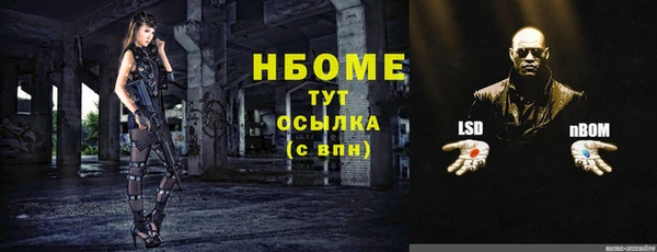 СК Алексин