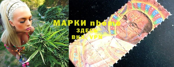 apvp Алзамай