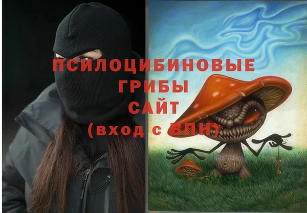 спайс Кодинск