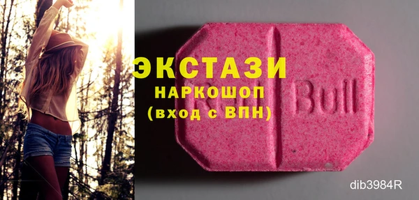 СК Алексин