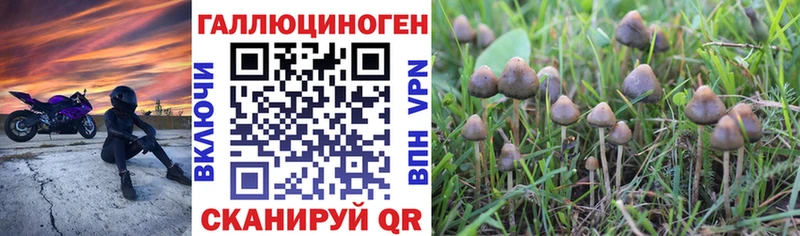 Псилоцибиновые грибы MAGIC MUSHROOMS  Старая Купавна 
