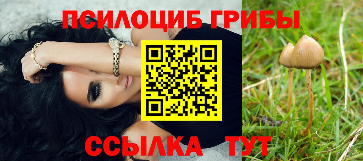 Псилоцибиновые грибы мицелий Старая Купавна