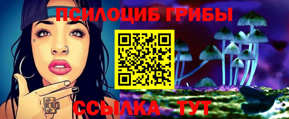 Галлюциногенные грибы Psilocybe  Вход с VPN  Старая Купавна 