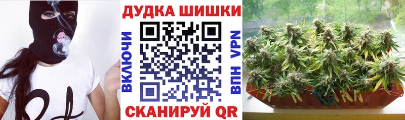 где найти наркотики  Старая Купавна  МЕГА ONION  Шишки марихуана планчик 